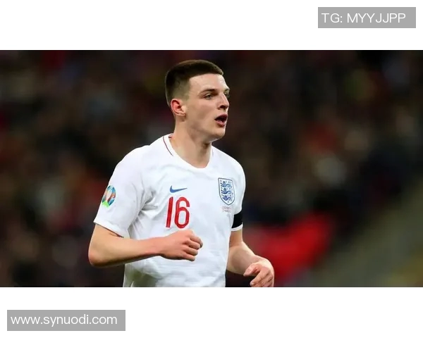 赖斯的崛起与影响力分析：从学术界到政坛的多重角色探讨