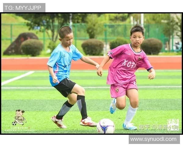 台湾球迷热情追逐福建足球比赛直播感受两岸体育魅力与激情