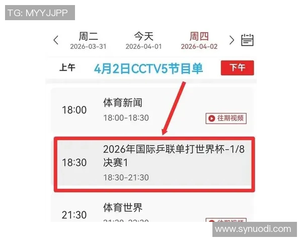 CCTV5直播上海队对决广东队精彩赛事分析与球员表现点评